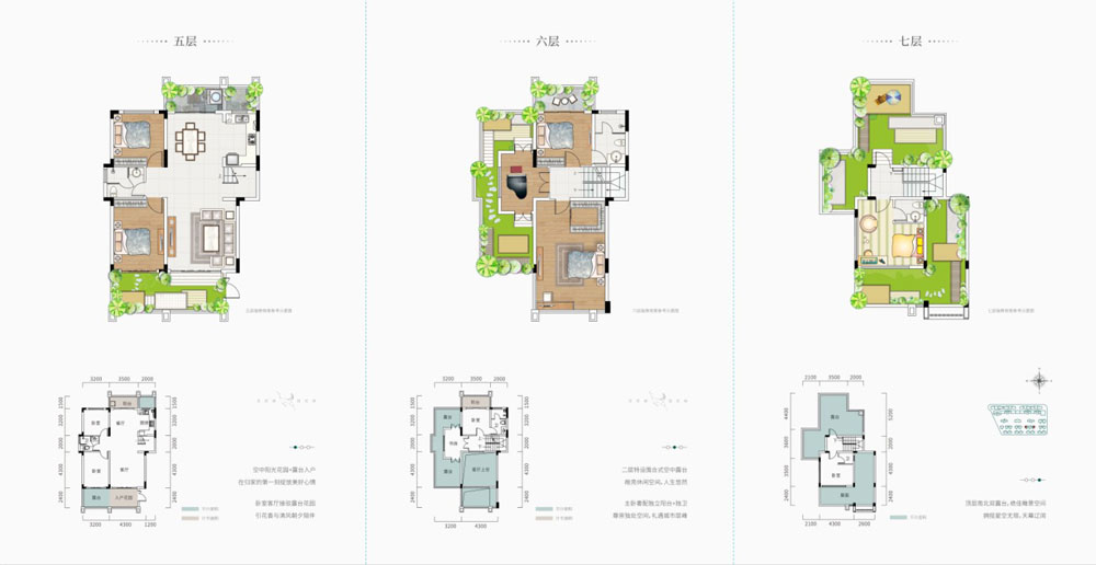 叠墅D3栋501、506户型