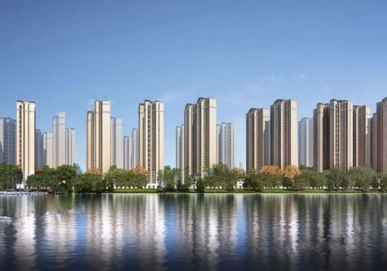 1691582245946511.jpg 2.jpg