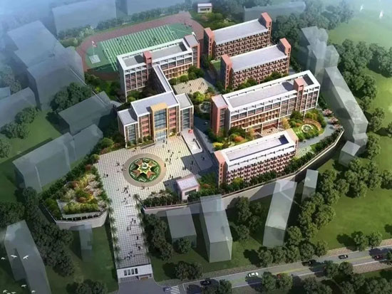 1696814081892535.jpg 1.jpg