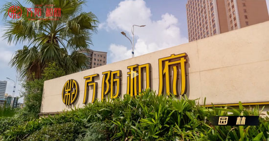 1699171999238683.jpg 5.jpg