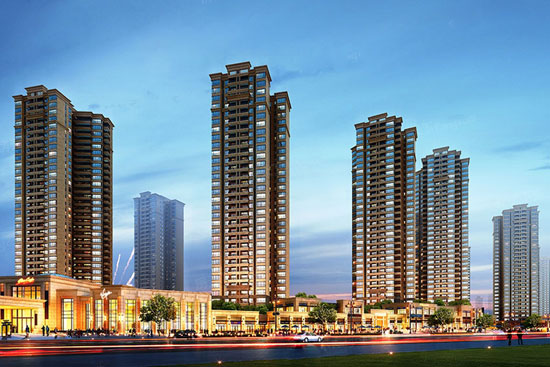 1699263429290011.jpg 2.jpg