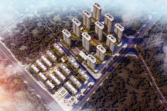 1699351155342094.jpg 1.jpg