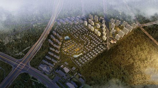 1701681618124415.jpg 1.jpg