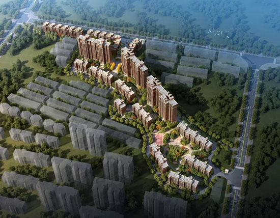 1702864628715624.jpg 1.jpg