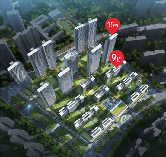 1706172622990719.jpg 7.jpg