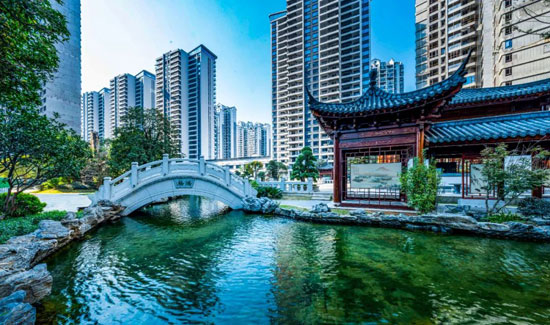 1706324943494048.jpg 1.jpg