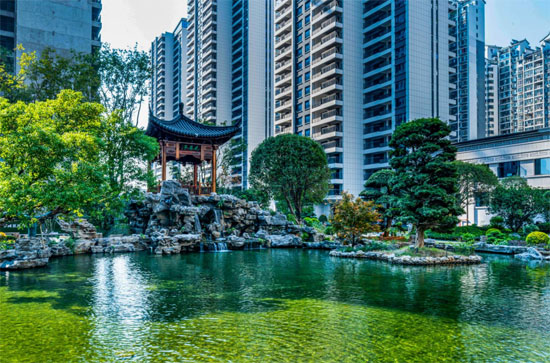 1706324954229113.jpg 2.jpg