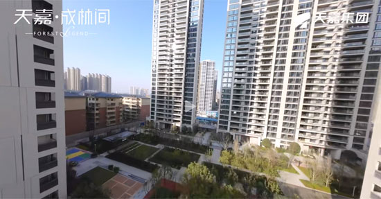 1708084420890872.jpg 2.jpg