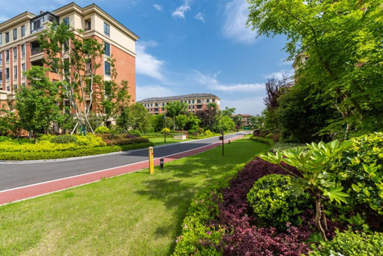 1708422049346693.jpg 1.jpg