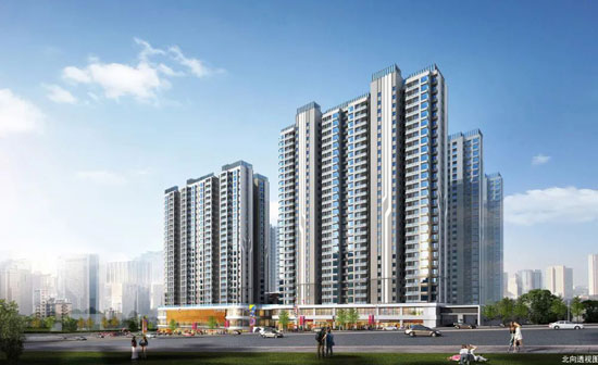 1710405400563167.jpg 2.jpg