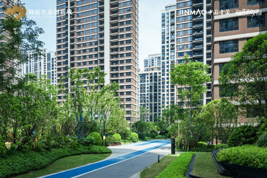 1717143991354699.jpg 2.jpg