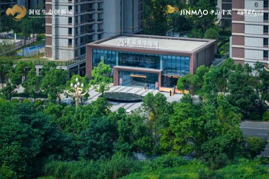 1717144030210820.jpg 5.jpg