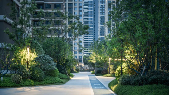 1717144166921981.jpg 9.jpg