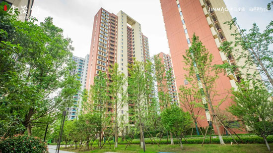 1719800785875674.jpg 4.jpg