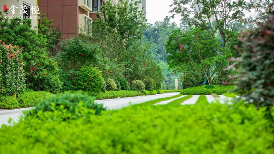 1719800790578540.jpg 6.jpg