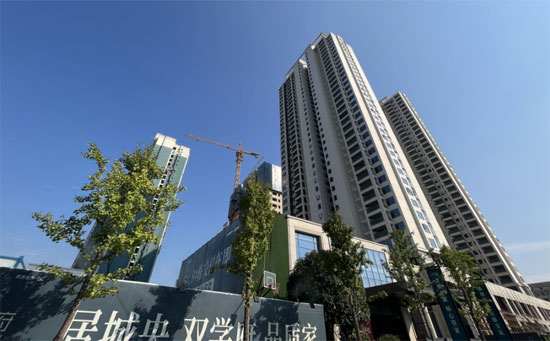 1722942241644181.jpg 1.jpg