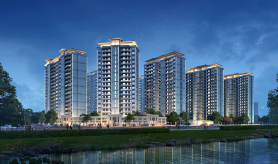 1723027155360208.jpg 2.jpg