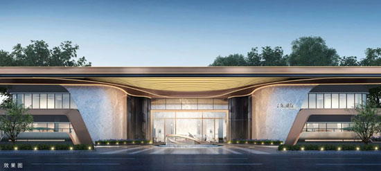 1737012464170995.jpg 2.jpg